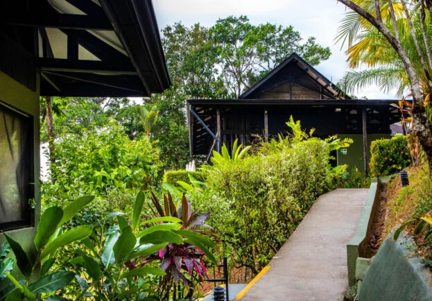 Photo Gallery, Tiki Villas Rainforest Lodge