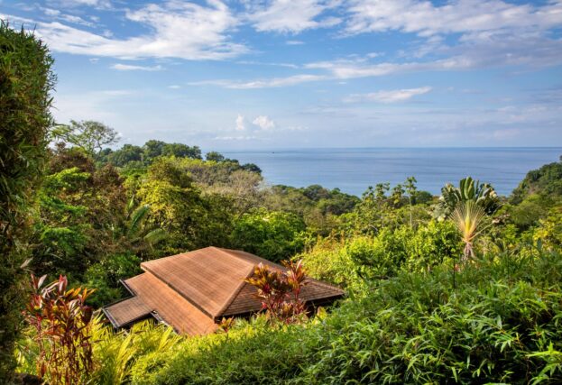 Photo Gallery, Tiki Villas Rainforest Lodge