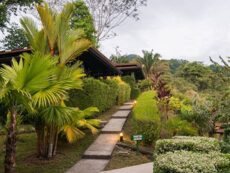 Location, Tiki Villas Rainforest Lodge