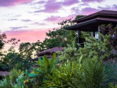 Location, Tiki Villas Rainforest Lodge