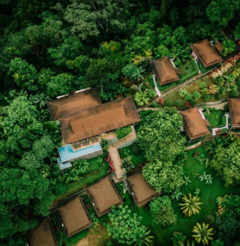 Home, Tiki Villas Rainforest Lodge