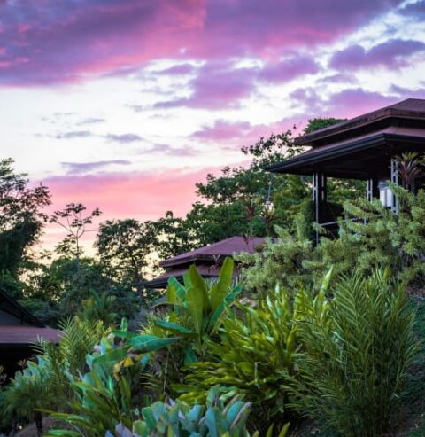 Home, Tiki Villas Rainforest Lodge